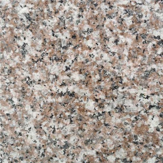 Buy Brown Granite Countertops Slabs Polish Finishing Brown Granite Countertops Slabs Polish Finishing Suppliers Manufacturers Factories Xmskystone Com